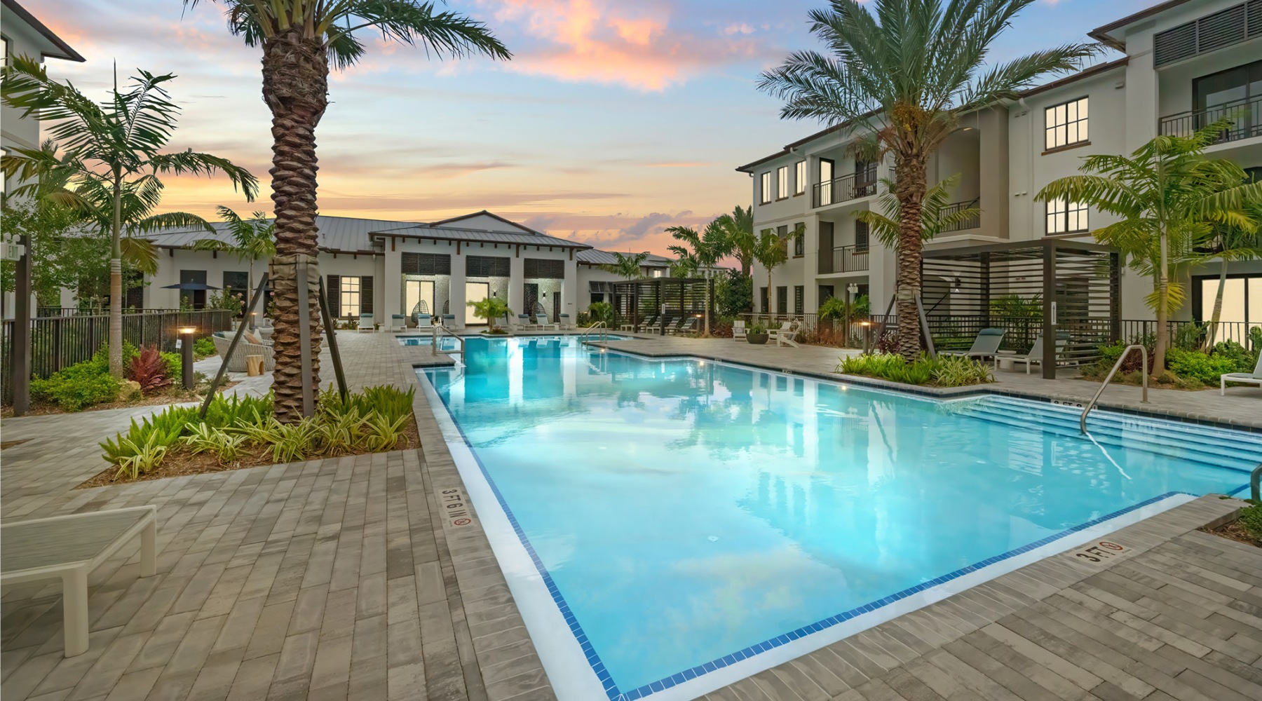Resort-style swimming pool surrounding by palm trees at Edera Palm Springs
