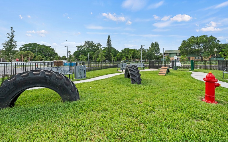 Fenced-in community dog park at Edera Palm Springs